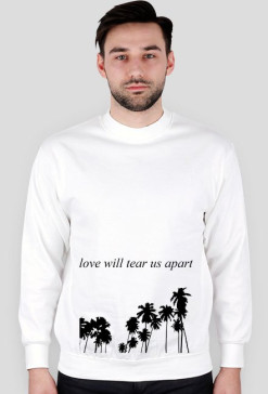 love will tear us apart / BLOUSE