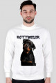 bluza rottweiler