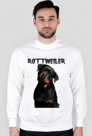 bluza rottweiler