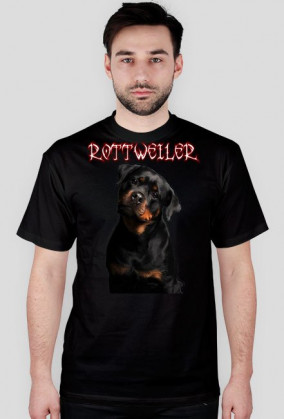 koszulka rottweiler