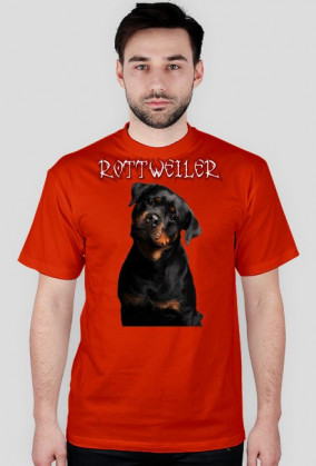 koszulka rottweiler