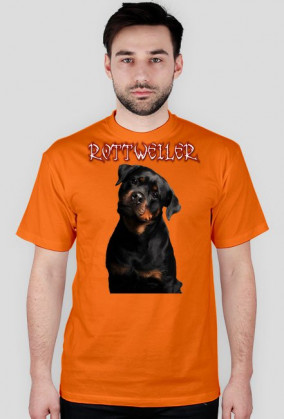 koszulka rottweiler