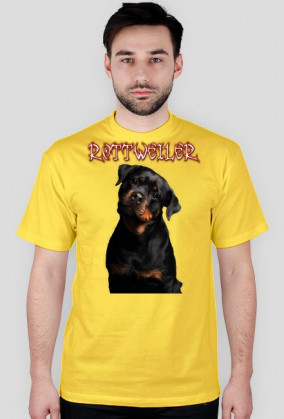 koszulka rottweiler