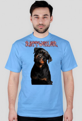 koszulka rottweiler