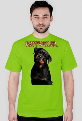 koszulka rottweiler