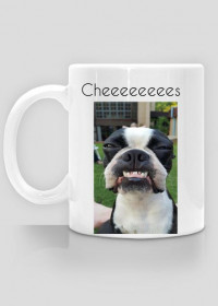 Dog cup