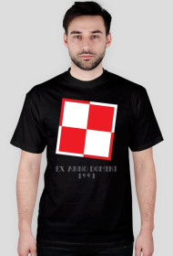 First Love - Polish Air Force