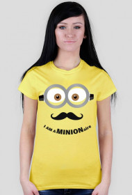 I am a minionaire