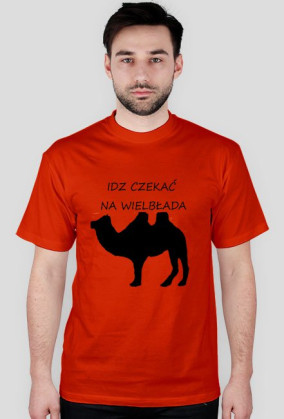 Idz czekać na wielbłąda