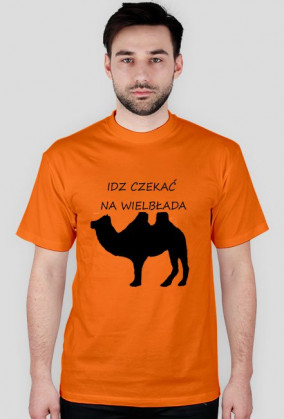 Idz czekać na wielbłąda