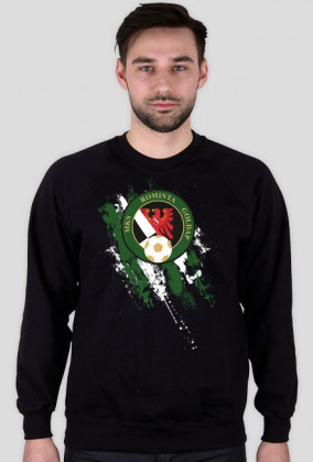 Rominta Gołdap pasy biało zielone męska