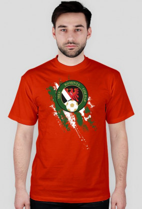 Rominta Gołdap pasy biało zielone męski t-shirt