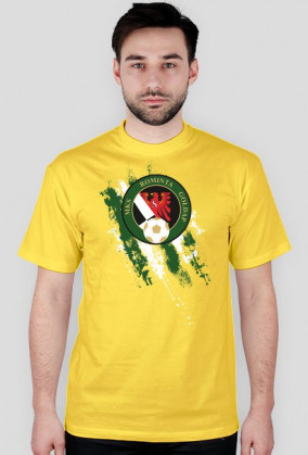 Rominta Gołdap pasy biało zielone męski t-shirt