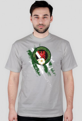 Rominta Gołdap pasy biało zielone męski t-shirt