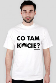 Co tam kocie?