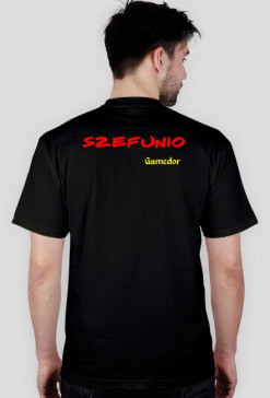 A-O Gamedor