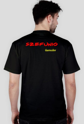 A-O Gamedor