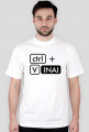 CTRL + V INAI