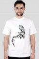 Maori Shark 2