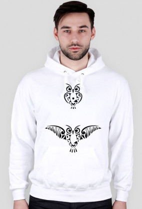 Maori Owl