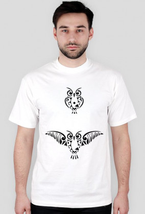Maori Owl