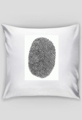 fingerprint 2
