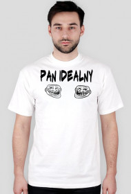 Pan Idealny