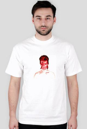 Bowie 1
