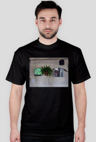 BIOS i ZOE - PAIL - Polish Artists In London