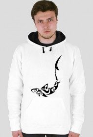 Maori Shark