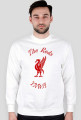 Bluza