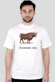 Zrozumieć tura