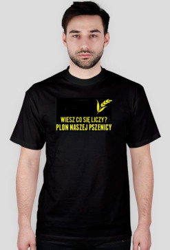 Plon pszenicy