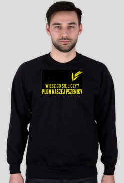 Plon pszenicy