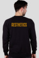 Aesthetics