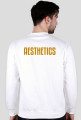 Aesthetics