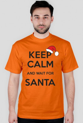 Koszulka męska z nadrukiem "Keep calm santa2"