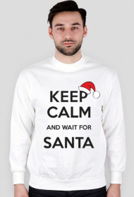 Bluza męska z nadrukiem "Keep calm santa"