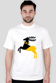 wolna lubelszczyzna 2