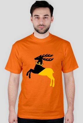 wolna lubelszczyzna 2