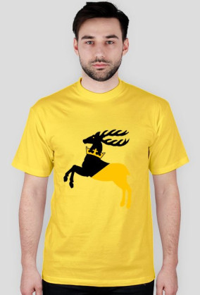 wolna lubelszczyzna 2