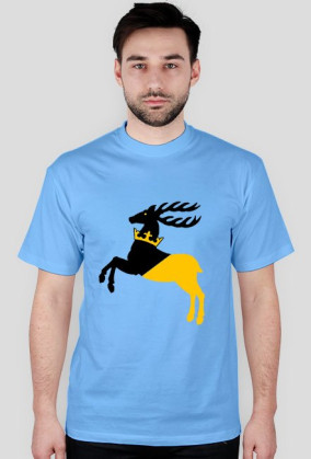 wolna lubelszczyzna 2