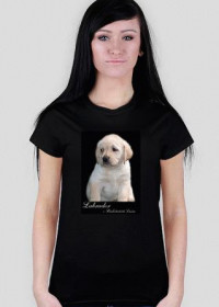 Biszkopt, szczeniak - czarna, damska - koszulki z psami