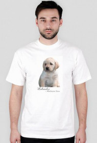 Biszkopt, szczeniak - biała - koszulki z psami