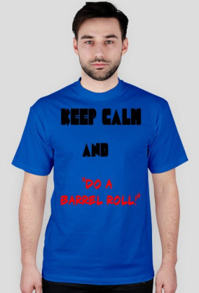 "DO O BARREL ROLL"