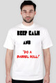 "DO O BARREL ROLL"