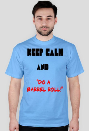 "DO O BARREL ROLL"