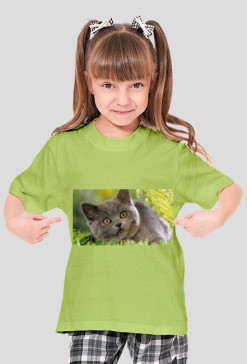 kot
