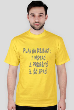 Plan na dziś
