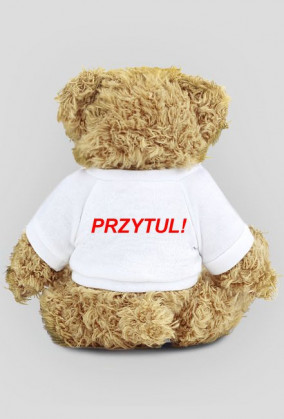 Miś Do Przytulania